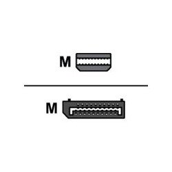 AMD - Adaptador DisplayPort - Mini DisplayPort (M) a Display | APLIUM