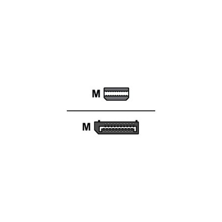 AMD - Adaptador DisplayPort - Mini DisplayPort (M) a Display | APLIUM
