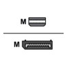 AMD - Adaptador DisplayPort - Mini DisplayPort (M) a Display | APLIUM