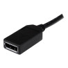 StarTech Cable 20cm DMS59 a DisplayPort Doble Conversor LFH59 a DP - S