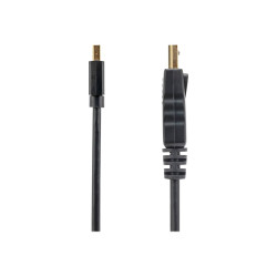 StarTech.com Cable Adaptador de 1,8m de Monitor Mini DisplayPort 1.2 M