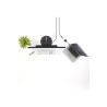 StarTech Adaptador Conversor de Vídeo Mini DisplayPort a DVI - Cable C
