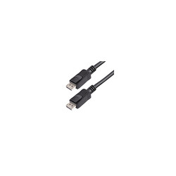 30cm DisplayPort 1.2 Cable with Latches