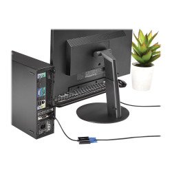 StarTech.com Adaptador DisplayPort a VGA de Pantalla - 1080p 1920x1200