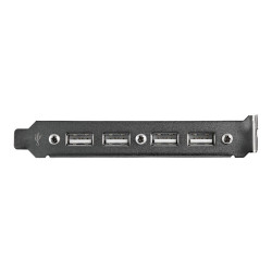 StarTech.com Cabezal Bracket 4 puertos USB 2.0 Conexión a Placa Base -