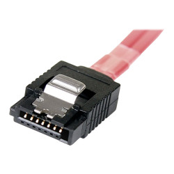 StarTech.com Cable Adaptador de 50cm Mini SAS Serial Attache | APLIUM