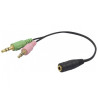 Headset Zone 300 Rose