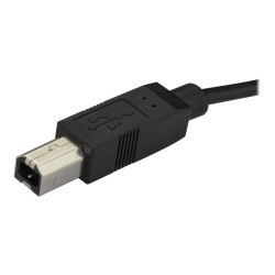 StarTech 2m 6ft USB C to USB B Cable - USB 2.0 - USB Type C Printer Ca