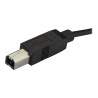 StarTech 2m 6ft USB C to USB B Cable - USB 2.0 - USB Type C Printer Ca