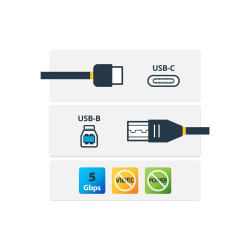 StarTech Cable Adaptador de 2m USB Tipo C a USB B USB 3.0 - | APLIUM