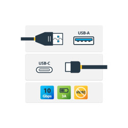 StarTech.com USB31AC50CM - 0.5M Ubs 3.1 Type C Cable USB A | APLIUM