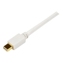 10ft Mini DisplayPort MDP to DVI Adapter | APLIUM