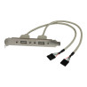 StarTech.com Adaptador de Placa USB A Hembra de 2 puertos - Panel USB