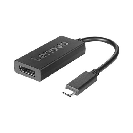Lenovo - Adaptador USB/DisplayPort - USB-C (M) a DisplayPort (H) - Dis