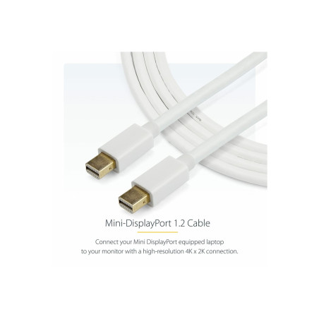 3m 10ft White Mini DisplayPort Cable M/M | APLIUM