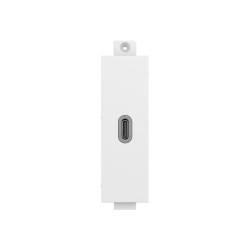 Componente de placa frontal AV modular - módulo USB C - enchufe tipo 3