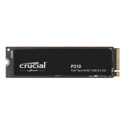 P310 500 Gb M.2 Pci Express