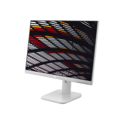 AOC X24P1/GR - Monitor LED - 24" - 1920 x 1200 WUXGA @ 60 Hz | APLIUM