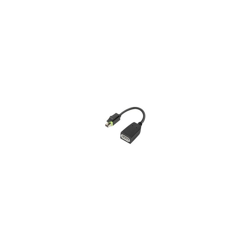 Lenovo - Adaptador DisplayPort - Mini DisplayPort (M) a DisplayPort (H