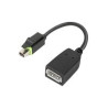 Lenovo - Adaptador DisplayPort - Mini DisplayPort (M) a DisplayPort (H