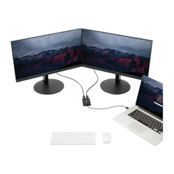 StarTech Adaptador Gráfico Externo USB 3.0 a DisplayPort Doble 4K60 -