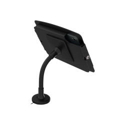 Compulocks iPad Pro 11" (1-4th Gen) Space Enclosure Flex Arm | APLIUM