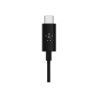 Belkin RockStar - Cable de audio - 24 pin USB-C macho a mini-phone ste