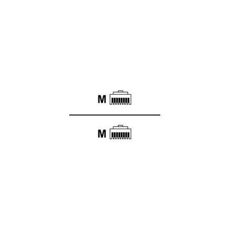 Belkin - Cable de interconexión - RJ-45 (M) a RJ-45 (M) - 10 m - CAT 6
