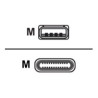 USB 3 Cable - Type C to A | APLIUM