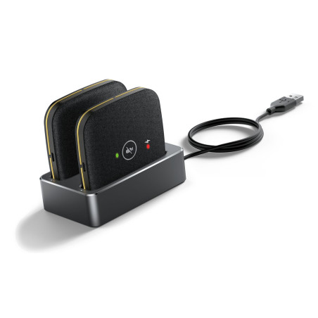 Cpw65 Wireless Microphones