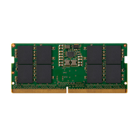 16GB 1x16GB DDR5 5600 DIMM ECC REG Mem