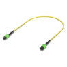 Indoor OS2 single-mode fiber