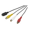StarTech.com Adaptador USB Capturadora de Vídeo SVideo Compuesto Windo