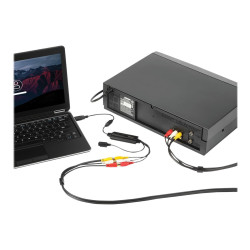 StarTech.com Adaptador USB Capturadora de Vídeo SVideo Compuesto Windo