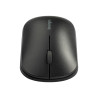 Suretrack Dual Wireless Mouse Black | APLIUM