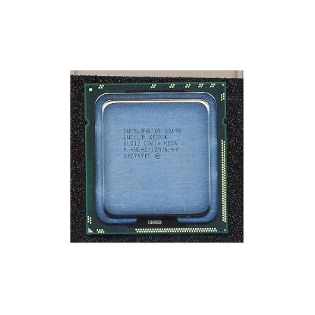 Intel Xeon X5698 processor
