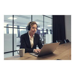 EPOS ADAPT 660 - Auricular - tamaño completo - Bluetooth - i | APLIUM