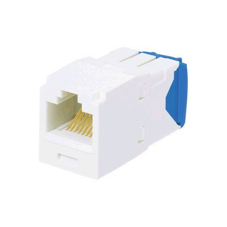 Cat6A UTP 10gig standard connector