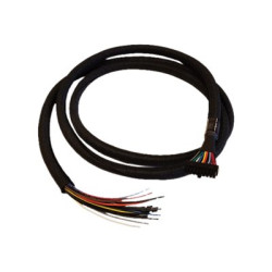 Cradlepoint - Cable GPIO - Molex de doble fila de 20 pines a | APLIUM