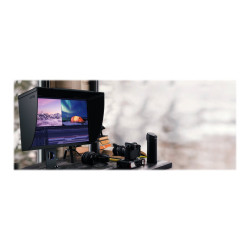 BenQ PhotoVue SW321C - Monitor LED - 32" - 3840 x 2160 4K UH | APLIUM