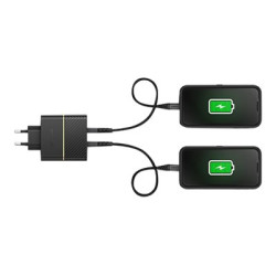 OtterBox EU Wall Charger 50W - 1X USB-C 30W + 1X USB-C 20W USB-PD