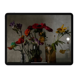 Apple iPad Pro de 12,9" Wi-Fi - 5ª generación - tableta - 1 | APLIUM