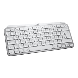 Mxkeys Mini F. Mac Wrls Illum. Pale Grey - Fra - Central | APLIUM
