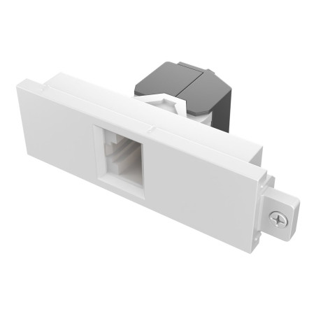 Componente de placa frontal AV modular - Módulo RJ45 cat6a - hembra en