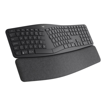 Ergo K860 For Business-graphite Ch - Central | APLIUM