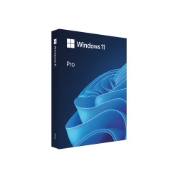 Licencia - 1 PC - Windows 11 Pro - 64 bits - Caja PKC | APLIUM