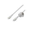 Belkin BoostCharge - Cable Lightning - USB-C macho a Lightning macho -