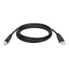 EATON TRIPP LITE USB 2.0 A/B Cable (M/M), 6 ft. (1.83 m)