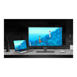 BenQ DesignVue PD2506Q - PD Series - monitor LED - USB - 25" | APLIUM