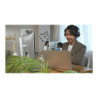 H3000 Bluetooth Headset . | APLIUM